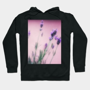 Delicate lavender flower in blur Hoodie